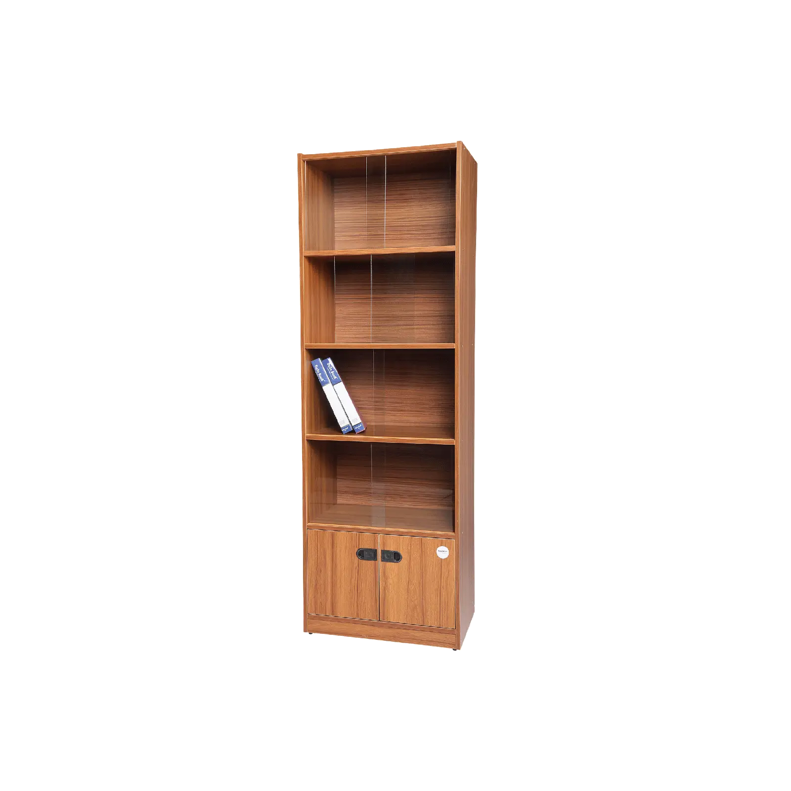 File Cabinet / Book Shelf