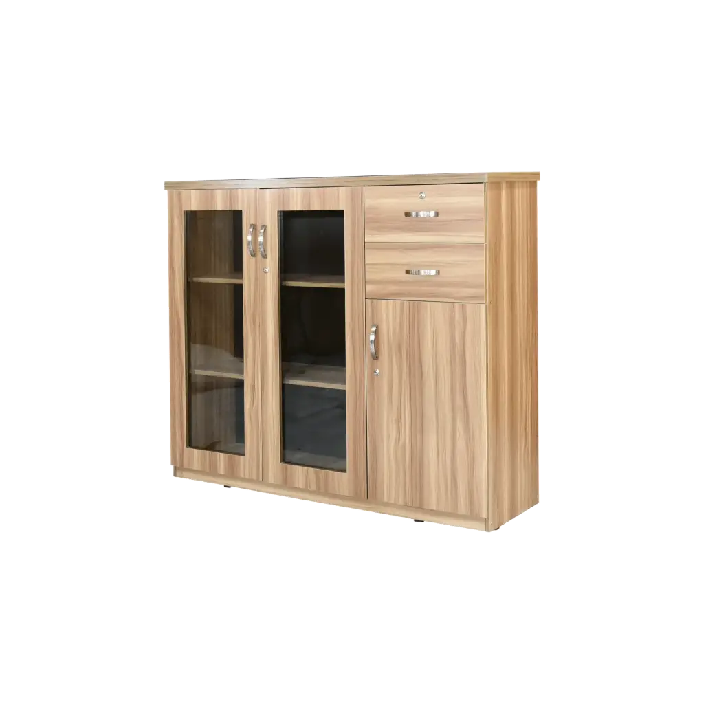 File Cabinet / Book Shelf