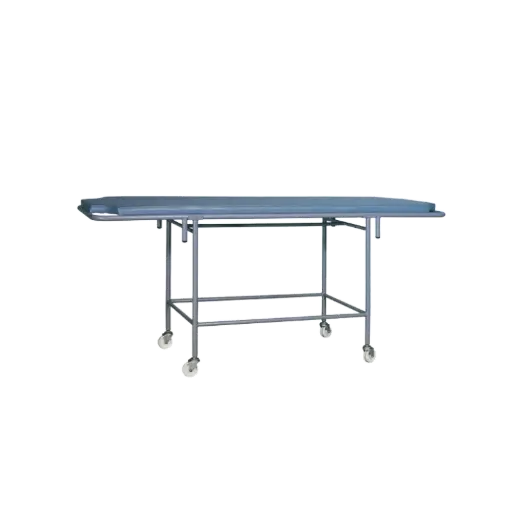 [NFL-HTPT-P001-MSLR-DG21] Patient Examination Trolley (With Mattress)